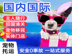 滨海机场快运国际宠物托运 【国